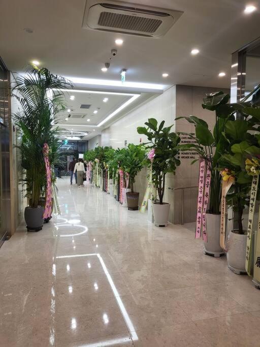 סיאול Stayc Hotel Myeongdong מראה חיצוני תמונה